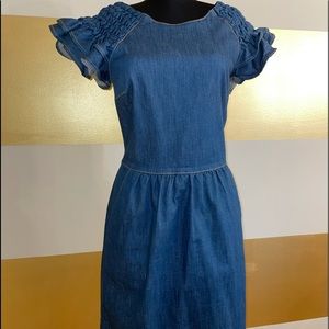 Red Valentino Denim Dress